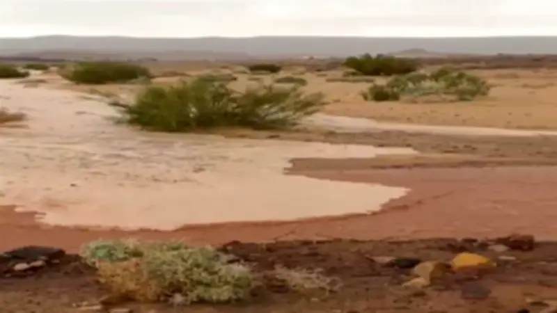 الأرصاد الجوية: أمطار متواصلة على جنوب الصعيد وجبال البحر الأحمر حتى الصباح