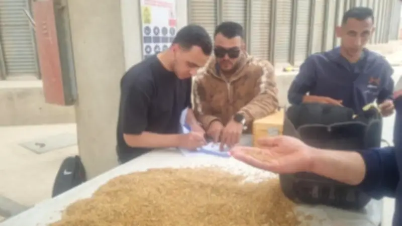 محافظ القليوبية يتفقد مواقع توريد القمح لمتابعة سير العمل في موسم الحصاد