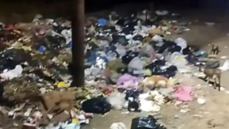 محافظ الشرقية يأمر برفع تراكمات القمامة من قرية الشوبك بسطة فوراً