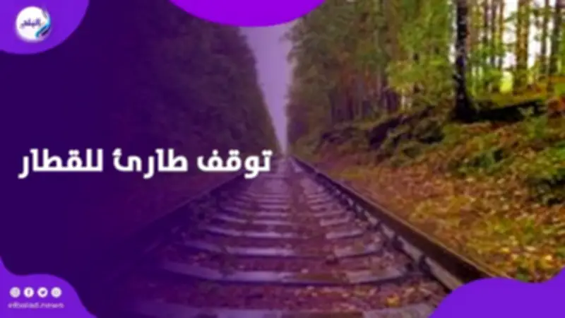 توقف قطار طارئ لإنقاذ سيدة تلد.. سائق يتحرك بإنسانية في محطة طنطا