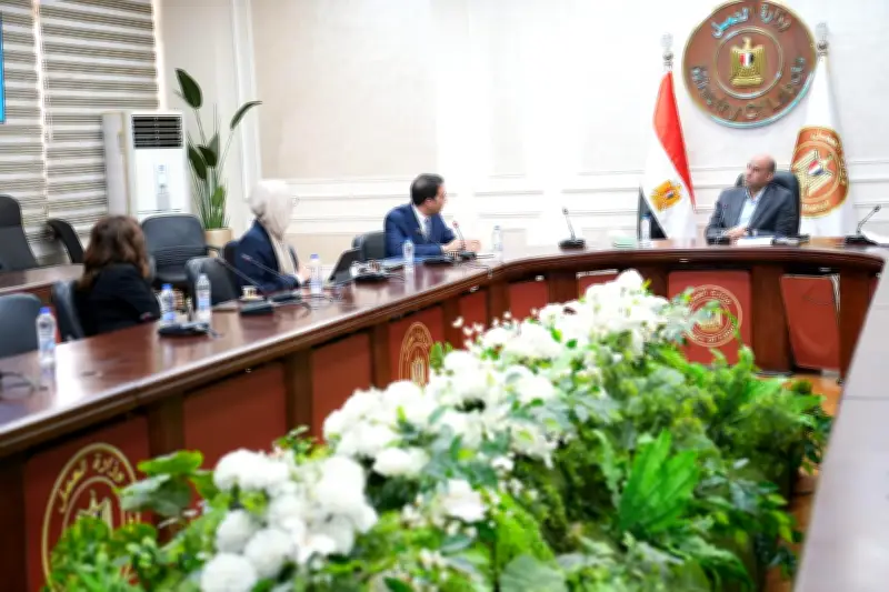 وزير العمل المصري يعلن عن خطة طموحة لتأهيل العمالة المصرية دولياً
