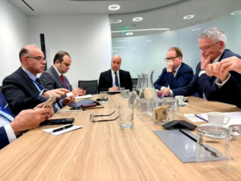 محمد فريد: مروّنة سعر الصرف وهيكلة الطاقة عزّزا جاذبية مصر للاستثمارات