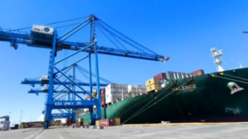 استقبال سفينة الحاويات العملاقة MSC VALENCE بميناء دمياط وتداول 4424 حاوية