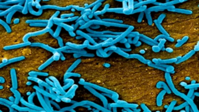 تحذير صحي عاجل في أمريكا: فيروس RSV يتفوق على الإنفلونزا وكورونا في معدلات الإصابات