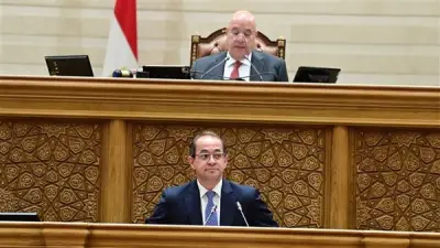 وزير المالية: استهداف زيادة الأجور 10% والانحياز للمواطن في الموازنة