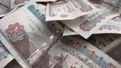 زيادة مخصصات الدعم 103 مليار جنيه في الموازنة الجديدة.. خبير اقتصادي يكشف التفاصيل