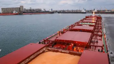 ميناء دمياط يشهد حركة نشطة باستقبال 11 سفينة حاويات وبضائع عامة