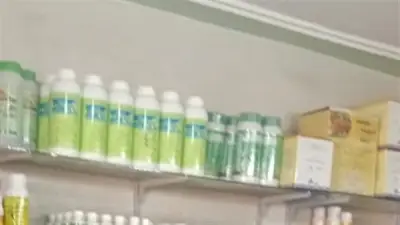 الجمارك المصرية تحبط تهريب مبيدات زراعية وتفرض 11 مليون جنيه تعويضات