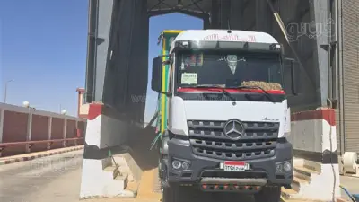 الوادي الجديد تبدأ موسم توريد القمح باستقبال 110 أطنان في أول يوم