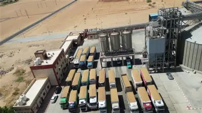 تموين الوادي الجديد: توريد 113 ألف طن قمح للصوامع والشون حتى الآن