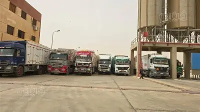 توريد 11335 طن قمح إلى صوامع الوادي الجديد في إطار تعزيز الأمن الغذائي