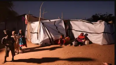 التهاب السحايا يقتل 12% من أطفال اللاجئين السودانيين في تشاد
