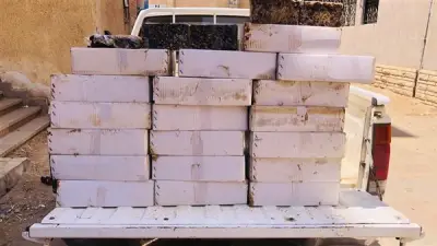 الفيوم تضبط 12.5 ألف علبة سجائر مجهولة المصدر في حملة تموينية