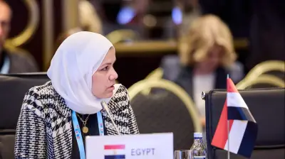 مصلحة الضرائب تطلق 15 ندوة تثقيفية أسبوعية تستهدف 5 ملفات استراتيجية