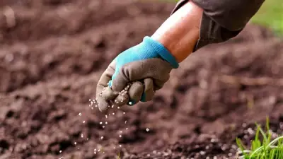 ارتفاع طن اليوريا العادي 1575 جنيهًا.. أسعار الأسمدة اليوم الإثنين 27 أبريل 2026