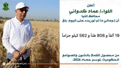 محافظ المنيا يعلن توريد 19 ألف طن من القمح لتعزيز الأمن الغذائي في موسم 2026
