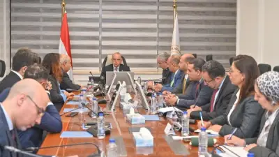 مصر والصين تبحثان إنشاء مجمع صناعي لإطارات السيارات باستثمارات 2 مليار دولار