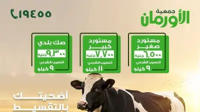 جمعية الأورمان تطلق حملة صكوك الأضاحي 2026 بالتقسيط على 12 شهرًا لتيسير الفريضة