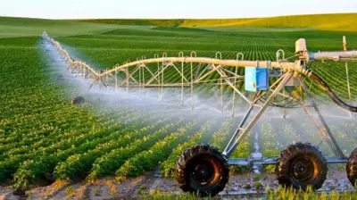 مشروعات توشكى وسيناء تستهدف جذب استثمارات ضخمة خلال عامي 2026-2027