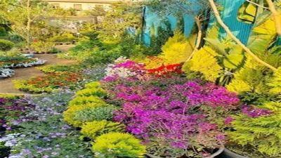 دليلك الشامل لزيارة معرض زهور الربيع 2026: المواعيد والأسعار وأماكن العرض