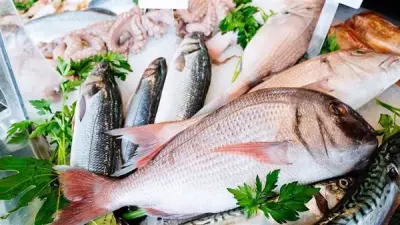 ارتفاع أسعار الأسماك في سوق العبور اليوم الثلاثاء 21 أبريل 2026