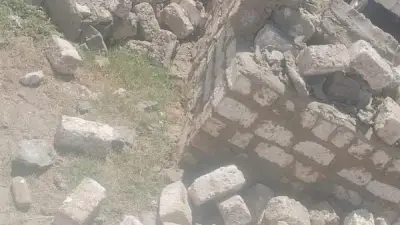 وزارة الزراعة تعلن إزالة 211 حالة تعدٍ على الأراضي الزراعية خلال أسبوع واحد