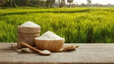 استقرار أسعار الأرز في الأسواق المصرية اليوم الأربعاء 22 أبريل 2026