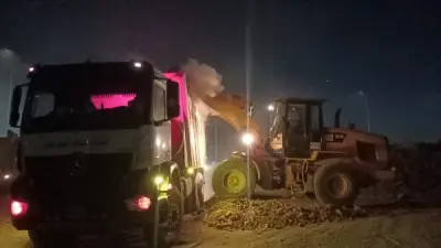 الجيزة ترفع 2250 طنًا من المخلفات في حملة نظافة مكثفة بالمنشية والمنيب