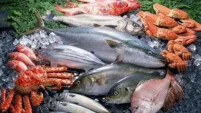 أسعار السمك اليوم الخميس 23 أبريل 2026: انخفاض 4 أصناف وارتفاع البلطي في سوق العبور