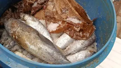 تموين المنيا يحرر 236 مخالفة في حملات رقابية مكثفة على المخابز والأسواق