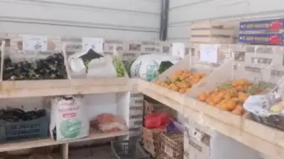 أسعار الخضروات والفاكهة بالوادي الجديد اليوم: الطماطم بـ25 جنيها