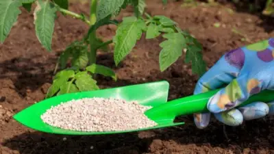 أسعار الأسمدة في المنيا اليوم الأحد 26 أبريل 2026 تشهد تنوعًا ملحوظًا