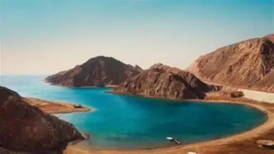 محمية الزرانيق بشمال سيناء: كنز طبيعي يضم 270 نوعاً من الطيور المهاجرة