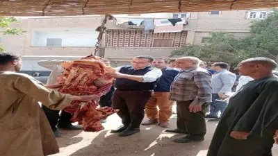 ضبط 277 كجم لحوم ودواجن غير صالحة بالمنيا واتخاذ إجراءات قانونية