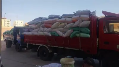 محافظ الدقهلية يعلن توريد 28 ألف طن قمح للصوامع والمواقع التخزينية