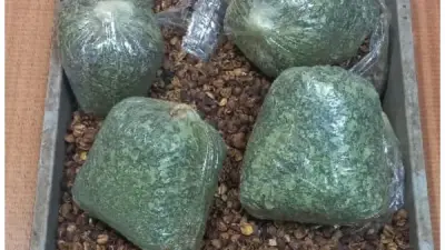 جمارك مطار القاهرة تضبط راكباً عربياً بحوزته 3 كيلو من مخدر القات