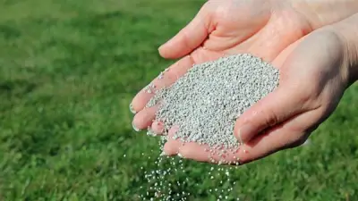 ارتفاع صاروخي لليوريا العادي 3316 جنيها.. تفاصيل أسعار الأسمدة اليوم في الأسواق