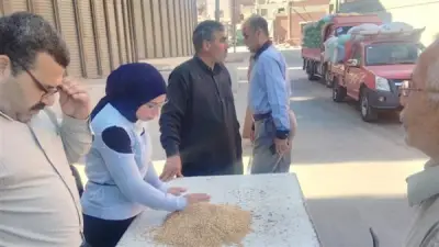 محافظ الدقهلية: توريد 3353 طن قمح لمواقع التخزين والصوامع