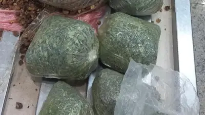 جمارك مطار القاهرة تحبط تهريب 3.6 كجم من نبات القات المخدر