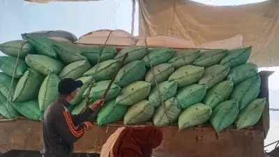 توريد 3990 طن قمح لصوامع كفر الشيخ منذ بدء الموسم