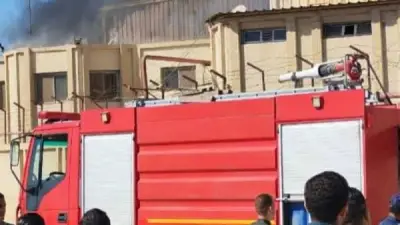 حريق في نخل ومخلفات على الطريق الزراعي السريع بقويسنا و4 سيارات إطفاء للسيطرة