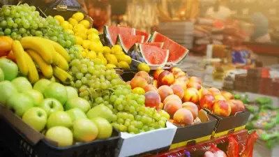 صادرات الغذاء المصرية تسجل 4149 رسالة بإجمالي 237 ألف طن والسعودية تتصدر الأسواق