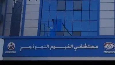 انقلاب سيارة ميكروباص بالفيوم يُصيب 5 أشخاص بسبب السرعة الزائدة واختلال القيادة