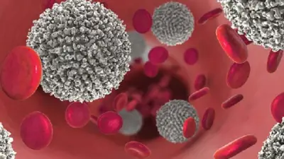 5 أطعمة تعزز المناعة وتحد من مخاطر السرطان وفقاً لخبير تغذية