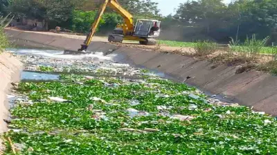 تطهير 515 كيلومتراً من المساقي واستخراج 244 ترخيصاً للمشروعات في المنوفية