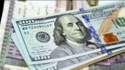 استقرار سعر الدولار أمام الجنيه عند 51.94 جنيها للشراء في البنك المركزي