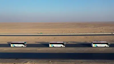 وزارة النقل تورّد 529 أتوبيساً وميني باص جديداً لشركات القابضة للنقل البحري والبرّي