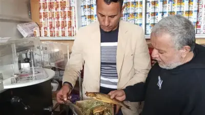 ضبط 576 كيلو من اللحوم والأسماك الفاسدة في حملات تموينية بالبحيرة