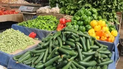 سعر الخضار اليوم: ارتفاع 6 أصناف وانخفاض الجزر 6 جنيهات في سوق العبور