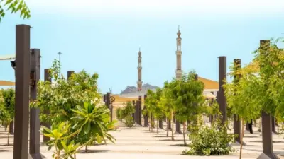 60 ألف شجرة تظلل المشاعر المقدسة لتخفيف الحرارة خلال الحج بالسعودية